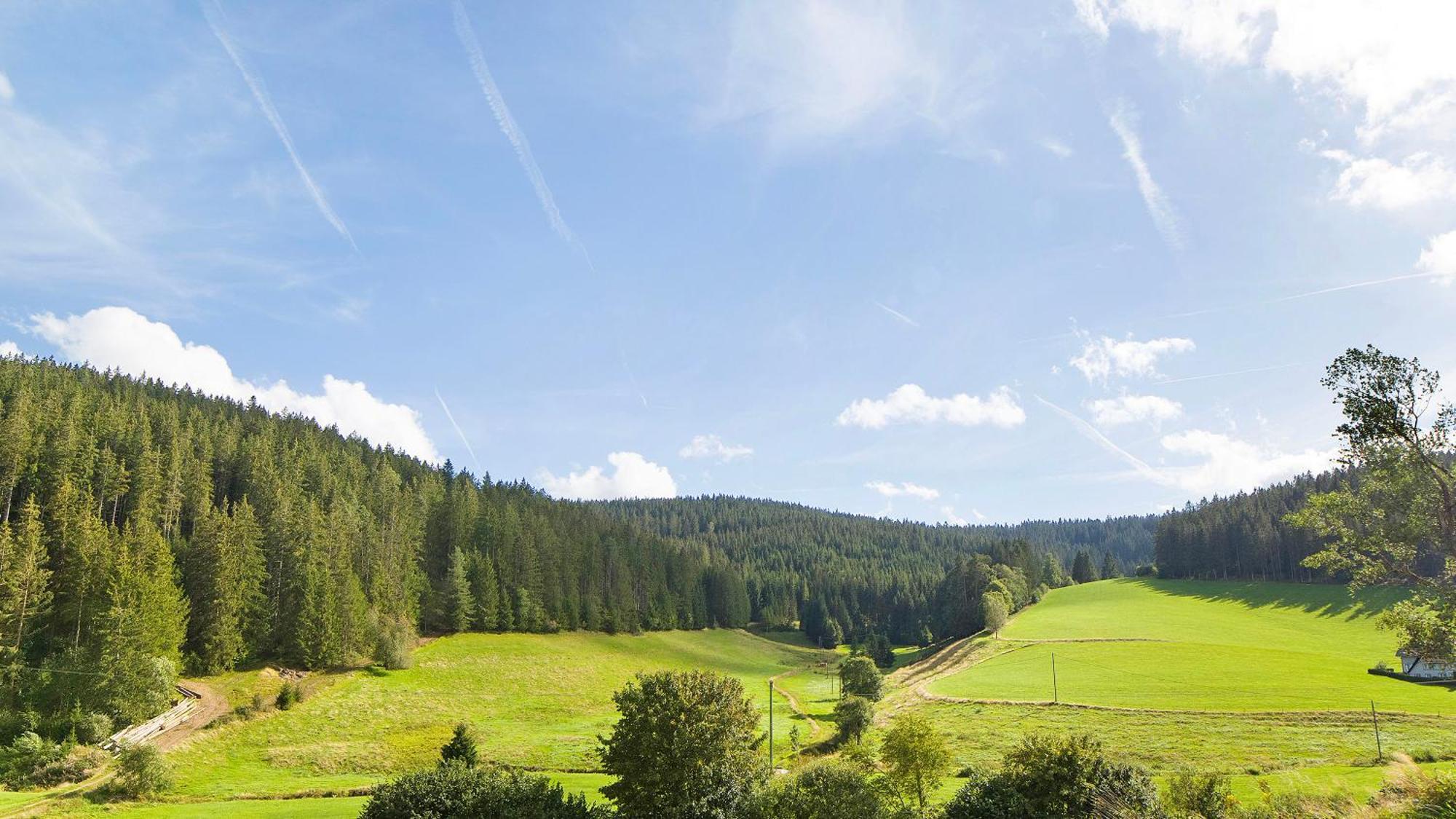 Haus Zum Sternen Apartman Vöhrenbach Kültér fotó